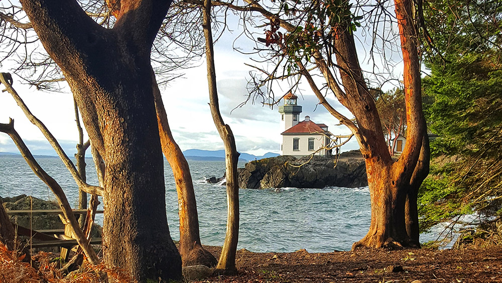 san-juan-islands-lime-kiln-state-park