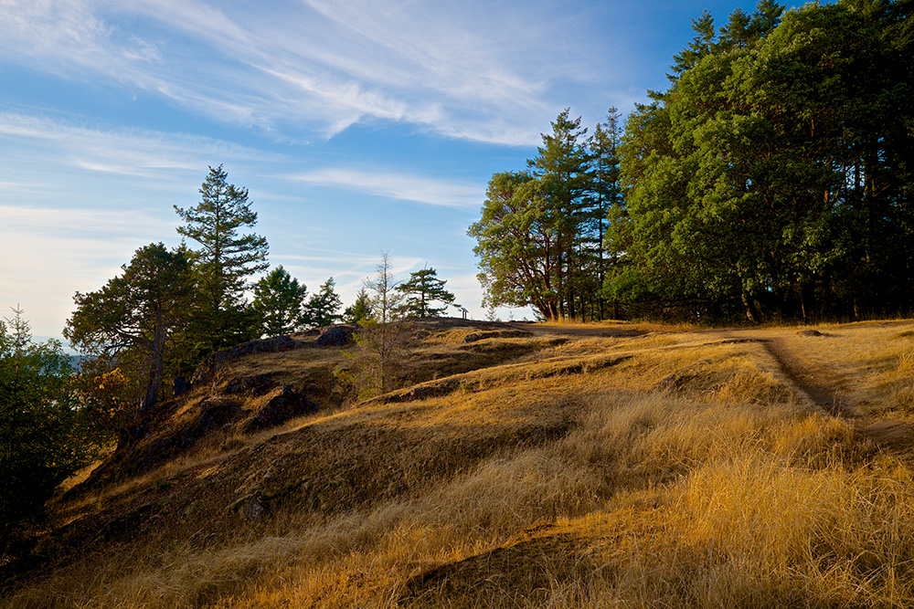 san-juan-islands-young-hill