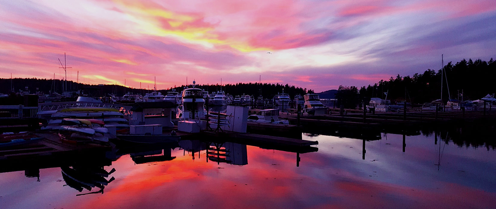 harbor boats at sunset