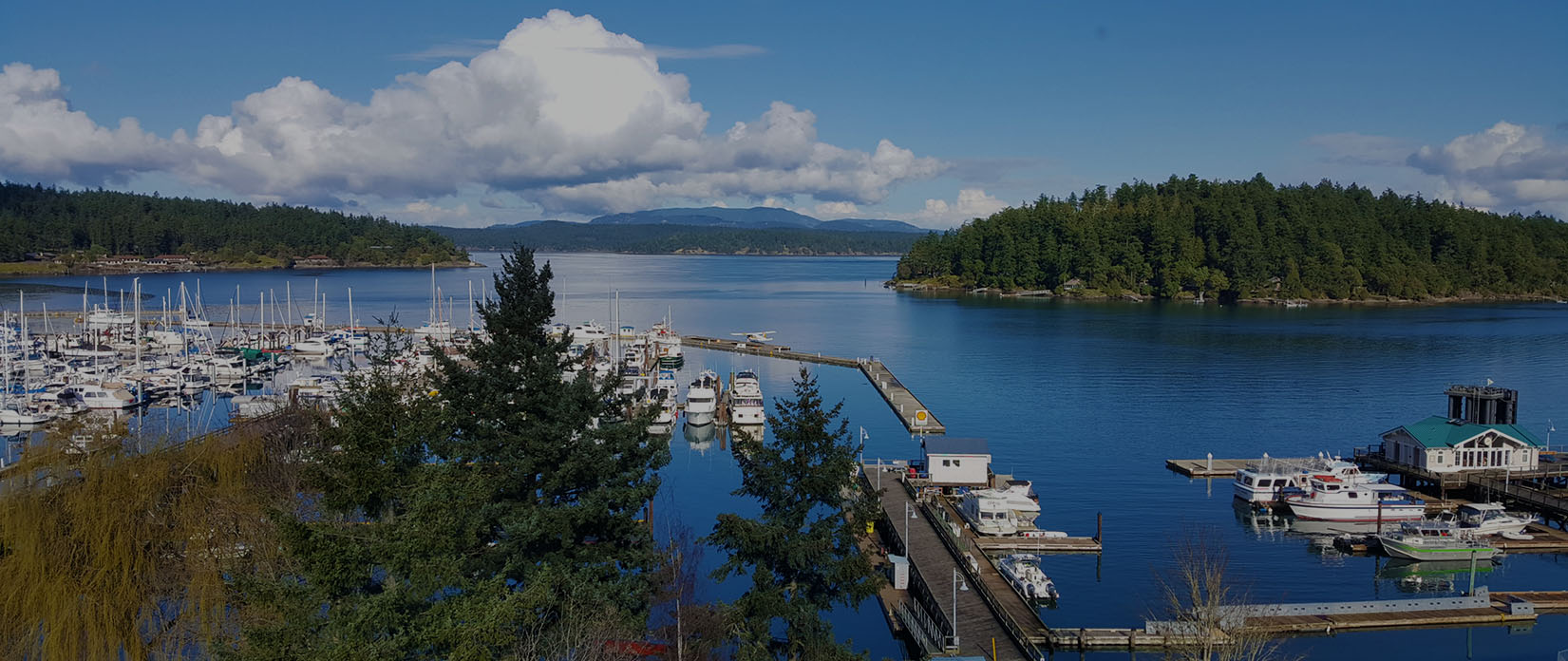 Sunny Harbor