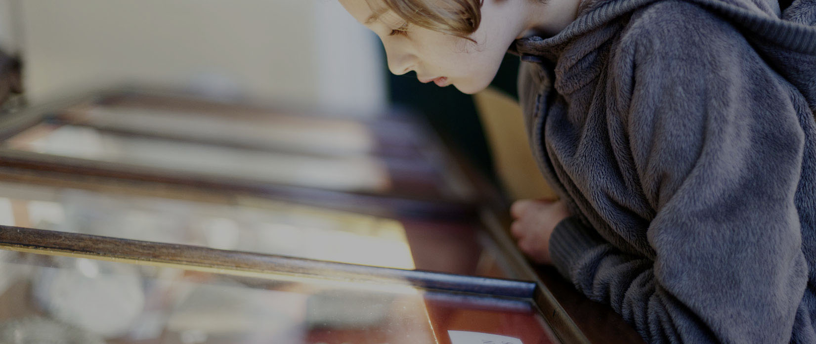child peering into museum display case