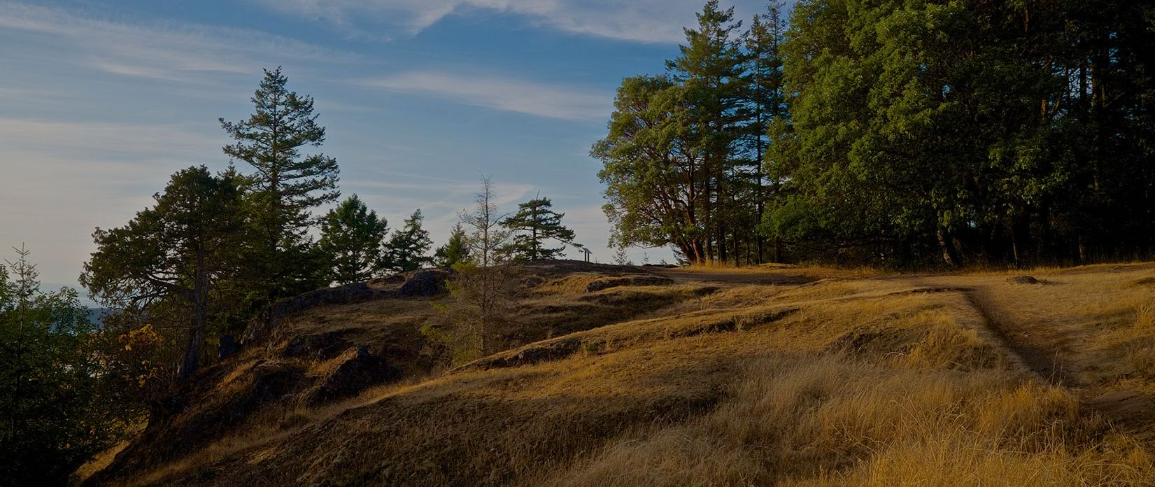 hiking & biking trail